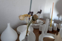 WhatsApp-Image-2025-10-26-at-15.21.24-1